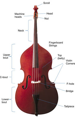 How to Care for Your Instrument
